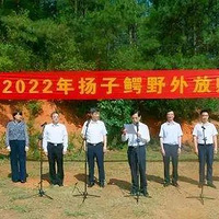 ������������һ���������ϡ��