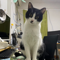 ���͵͵���ȥ�ͱ��è��ܣ���TM�����ˣ���˭����ҽҩ�ѡ�