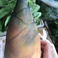 շʳ