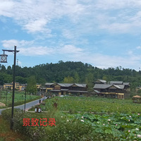 дл壬ɻ֮ɫ𣿡2022μǡ