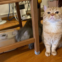 40�棡è�����ս���С���