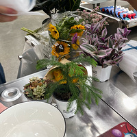 ¹����Ա����Ļ����ݲݻ�����