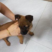 �����������޳���ϣ���в�������������������������������