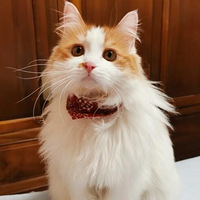 ˭���뵽����ׯ���ң������Ǵ����أ�