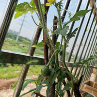 �����ֹϣ��յ��������������