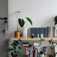 ����Щ��ֲһ�������һ�ٶࡤ������