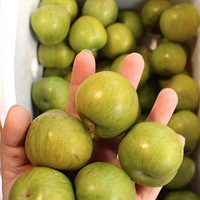 ����û��ƭ�ң���������ִ�������ظ��ó�Ŷ