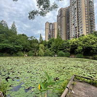 �ں����߰���������һƬ�������Ҽ�װ�޽��̣��ѵ��̵�ů�׶�