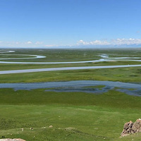 ��wanghong������һ���ǽ�