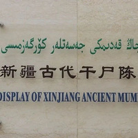 �½����Ĺ��ݣ���ʵ�ǲ����