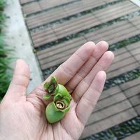 ר������һ����������