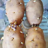 ������������ѿ�ˣ��������������£����������ջ����ʵ�����