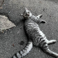 ����·���������������ָ������ùԵ�è~~~