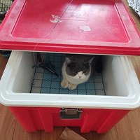 ����è�ñ�����