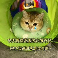 ���ϼҵ�Ӣ����