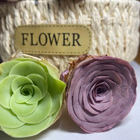 ɽ��õ��һ���ǻ�����