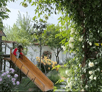 ޴޻شסװ䡢С˶˵ˣ