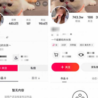 wanghong�������㡱�����飡�����϶����Ǳ�ΣҰ����������