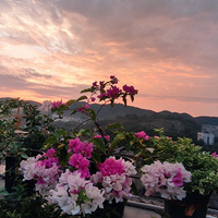 ��ԡ��ϼ���е�����÷