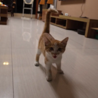 ��ؼ�ʮ�졫Ŭ����������