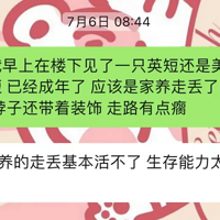 ����ҿ����Ҽ񵽵Ŀɰ�è��