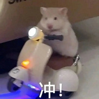 �������̿����ӵ���20�ණ�����̵㣬һ�������ӣ�����