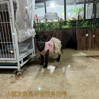 �󰮹����ĺ���������