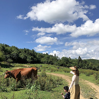 25ȵ桰С¶Ӫһ类ʮͷţѣˬ