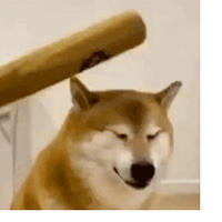 סˣҲҪɱˣ