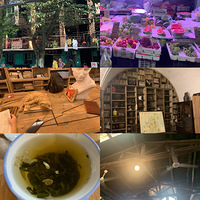 ɽ�������������������ˡ����ն����顭��Щ�ط�ƽ������9��