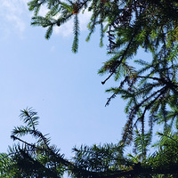 ɽ�ϵ����컹�������ŵģ�����