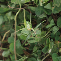 ɽ�������Ȼ�յ�