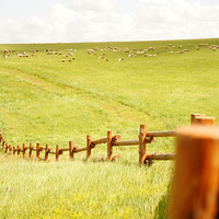 2022��¼���ױ������ԭ����