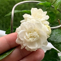 �ҵĻ�ͷ���򳬼�����