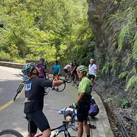 �żҽ�׹��Ů�����ɷ�����ǰ��ʼ�����г��������������׺���