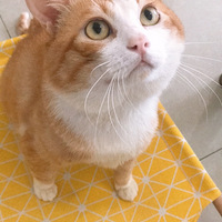 ����8�꣬12.6�������dd�����Ծ��������������������