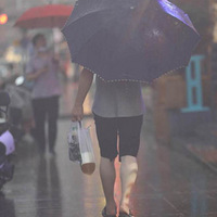 wanghong��������������һ���뽵30�ȣ���ֹ��ˬ�����м��׺��ӵ�Σ��