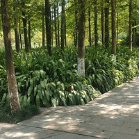 ���������ˣˮ�ĵط�