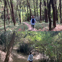 40�ȸ���ͽ����ɽ����ʲô����