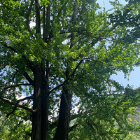 �����ݱ����˵�������Դ�������Ӵ�