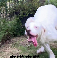 ʮŮѶӰӣ˺վǸС