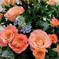 ������ϻ���