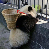 ��815ֵ����WPC��ɹɡ34����Դϴ��ˮ2ƿ47