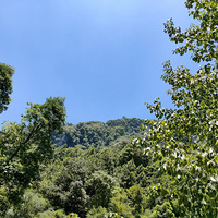 ɽƯоǰ