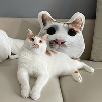 һ��èèͼ��Ϯ��˳�������Ƽ���������������������