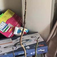 2022����������ڣ����£�������������