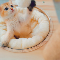 ƭ����èϵ��