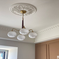 ȫ�ݵƾ߰�װ��ɣ���Щ����ֵֹĵƣ������е�hold��ס��