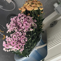 ������ֲ��������������18Ԫ��4֧�����Բ�3����ƿ