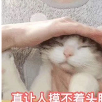 ô˶ϲģ˧ȴ